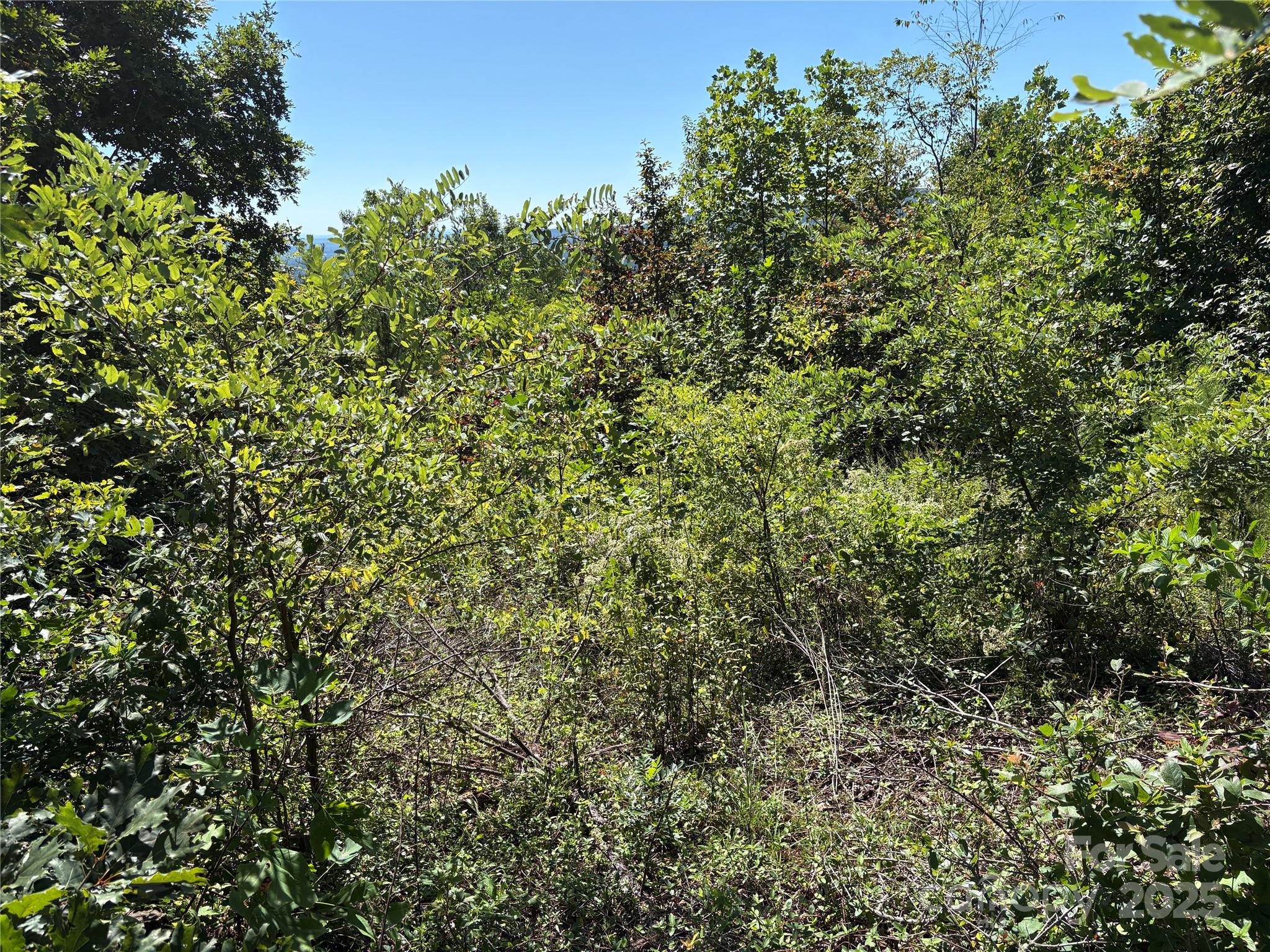 South Mountain Peaks - Land