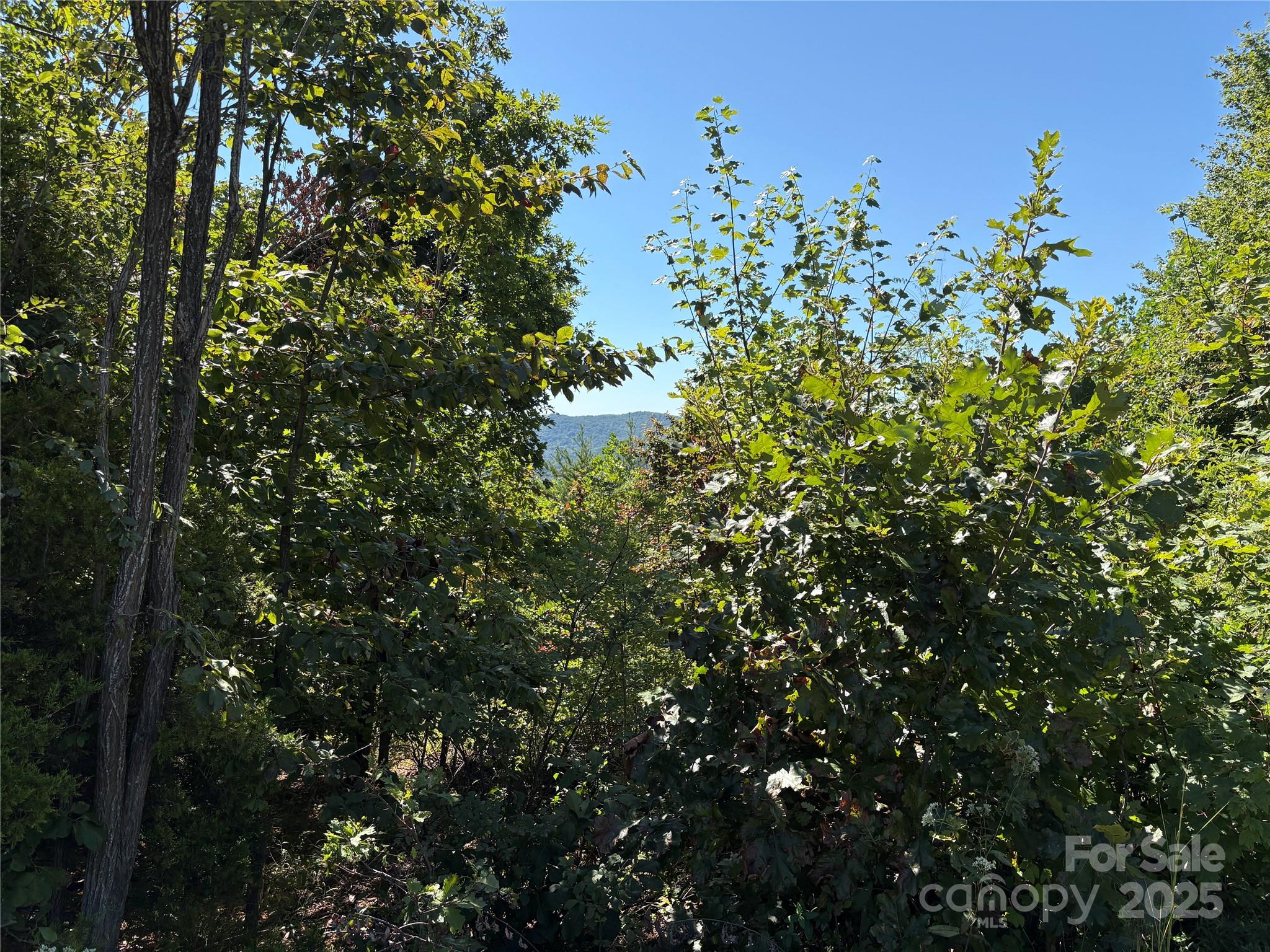 00 Azule Ridge Drive