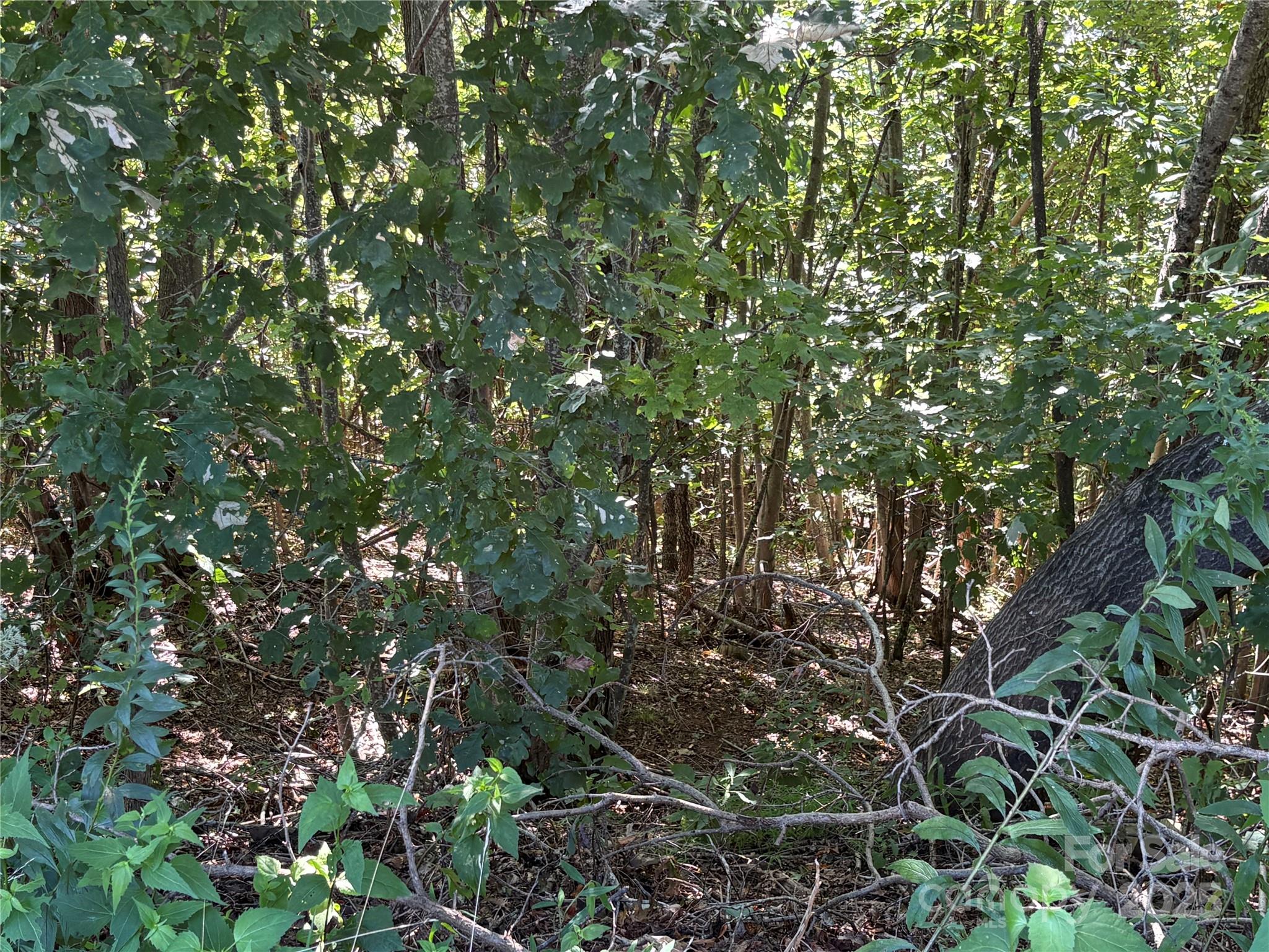 South Mountain Peaks - Land