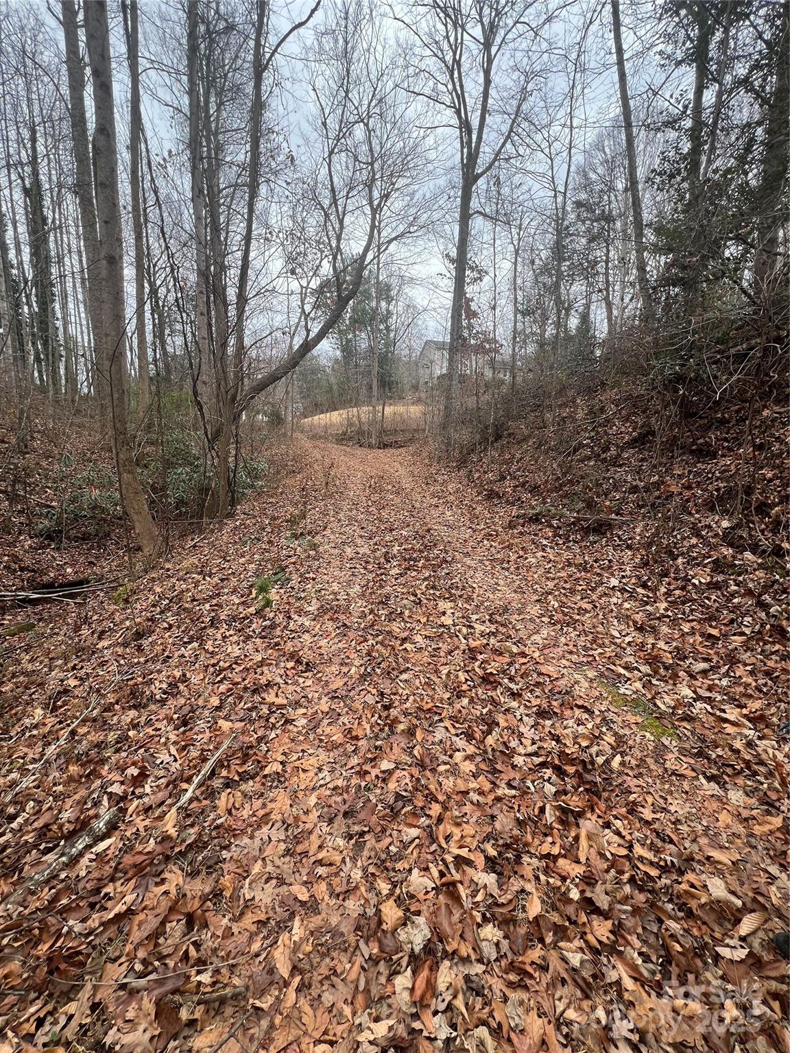 Plantation Point - Land