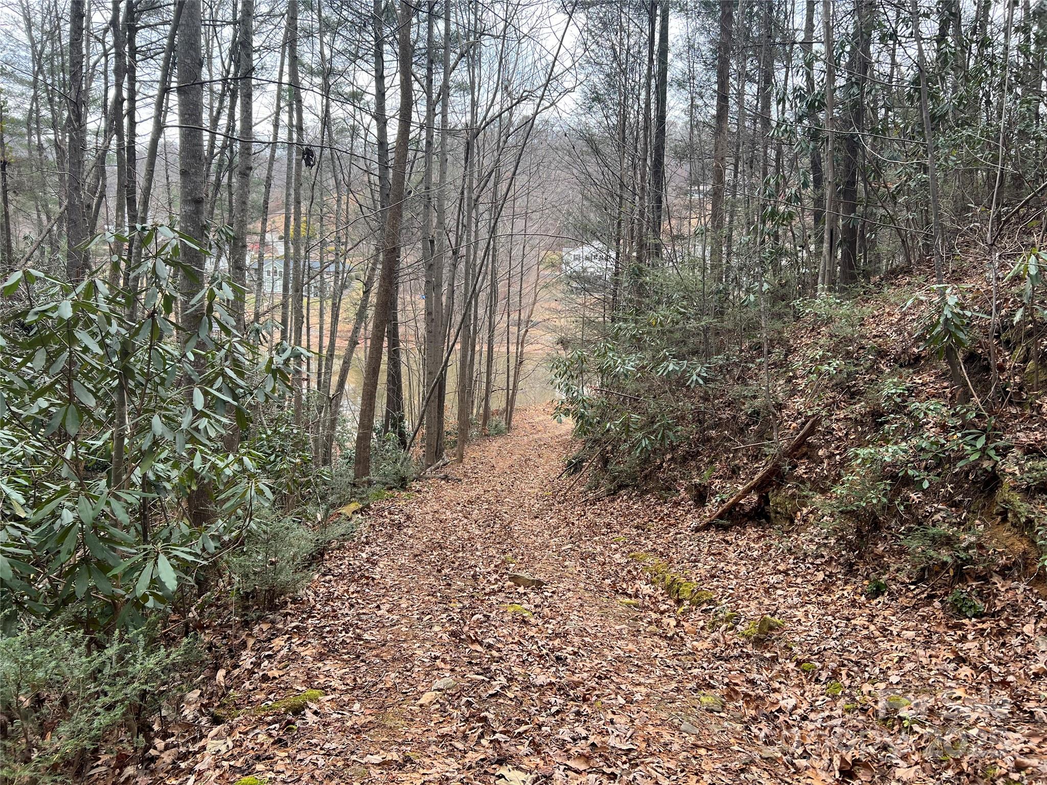 Plantation Point - Land