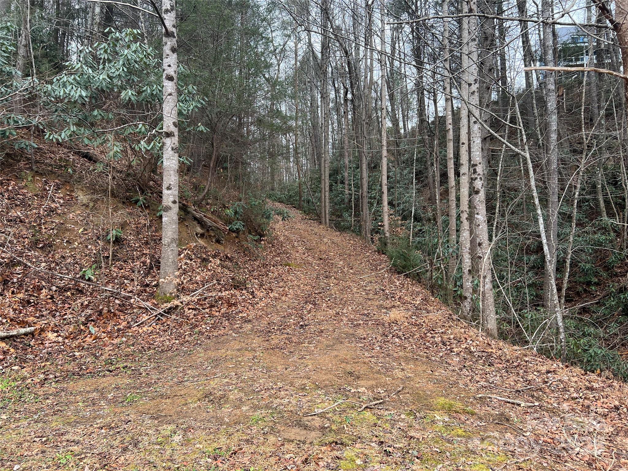 Plantation Point - Land