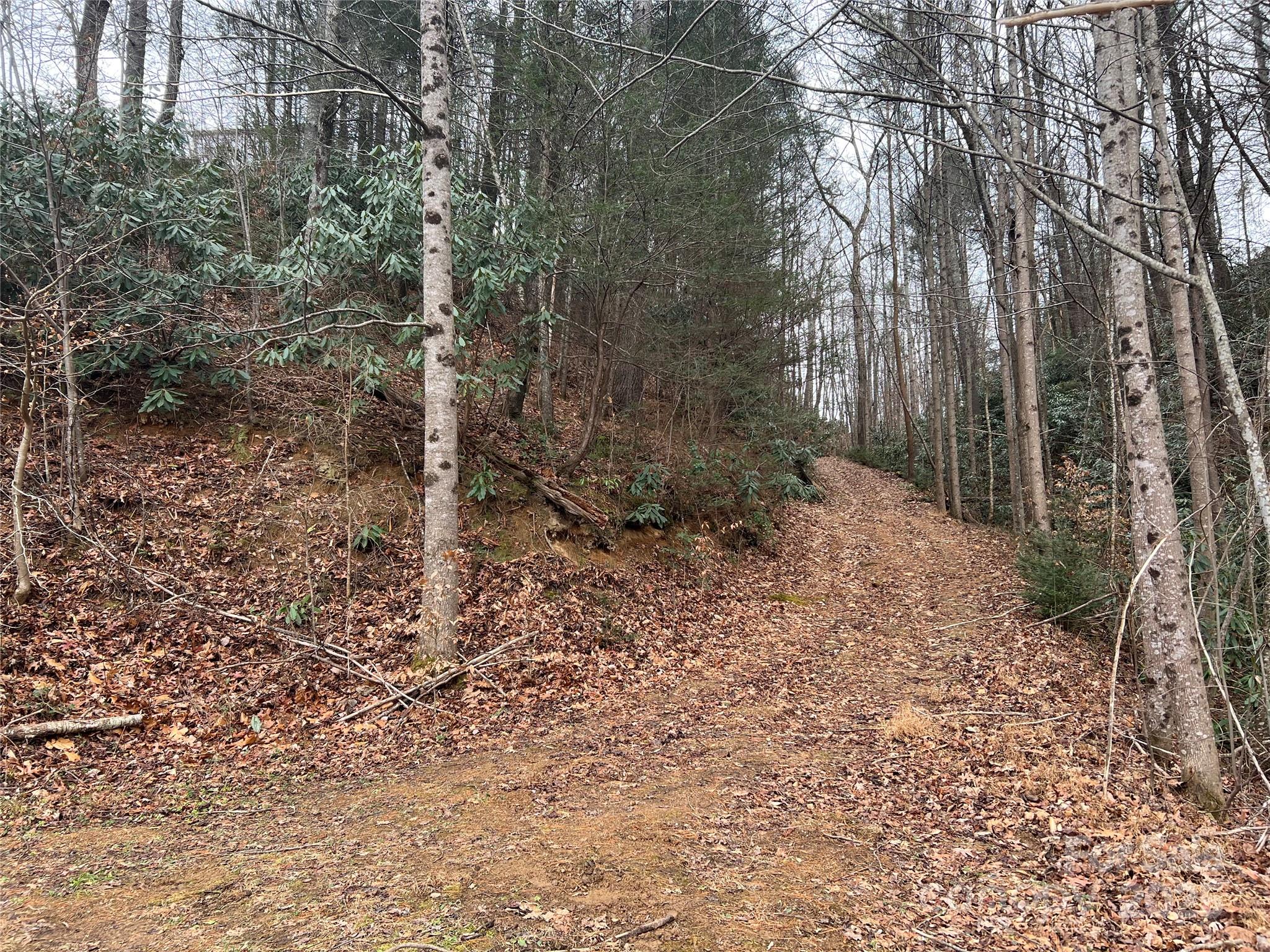 Plantation Point - Land