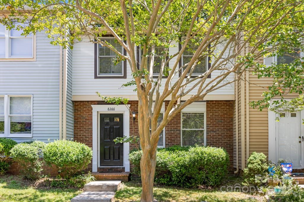 8266 Knights Bridge Road
