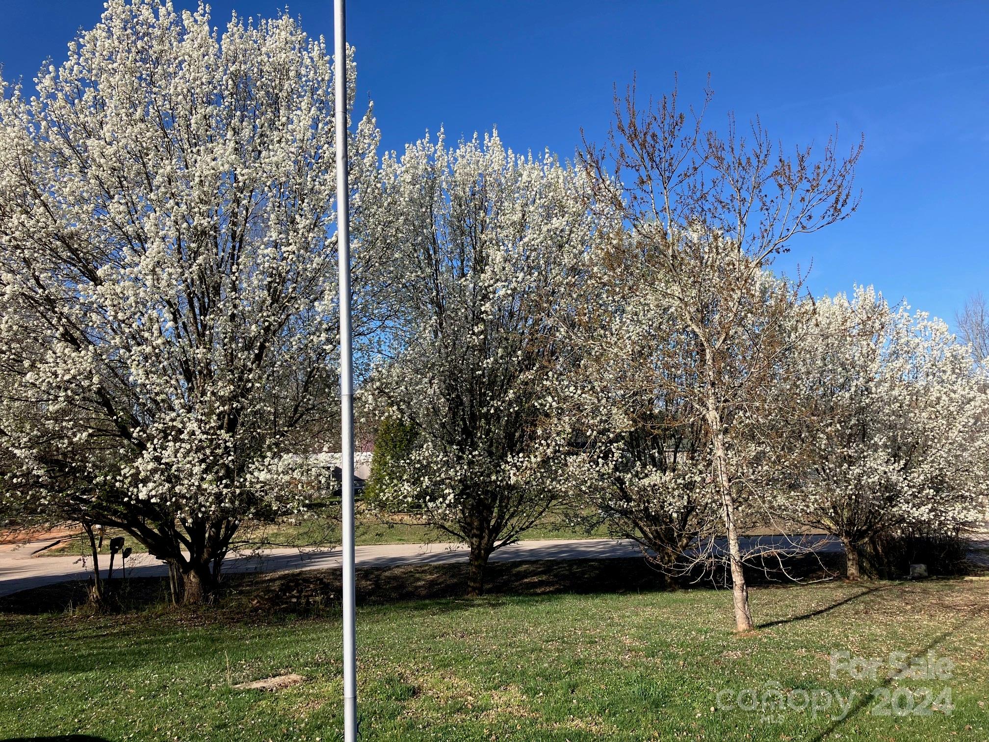 Cedar Bluff - Residential