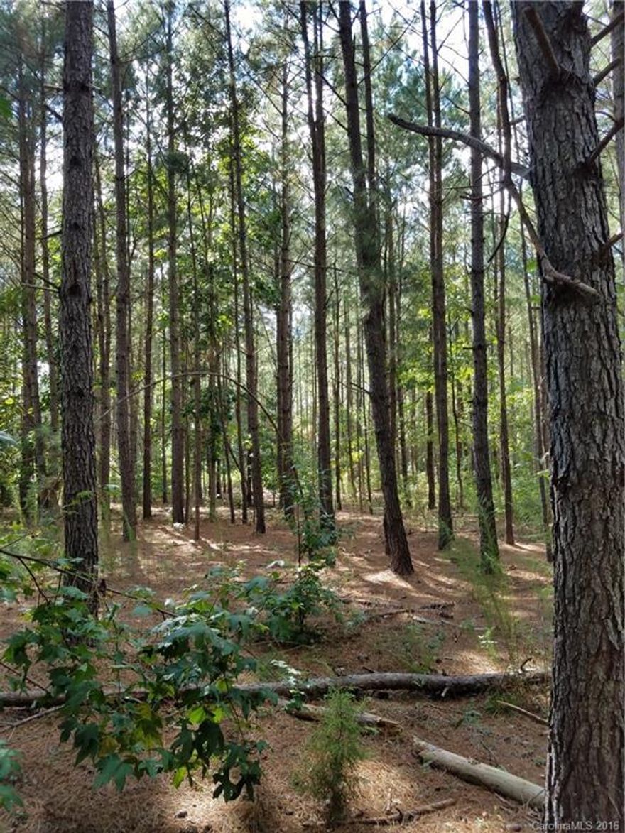 6 +/- acre rural building site minutes from I-77 exit 55. Less than 1 hour from Charlotte/Columbia. Great private site on mostly wooded flat land. Come pick from 5 different 6 +/- acre sites all bordering Brown Road. These building or recreational lots are being divided from a 154 acre tract so various size parcels are available. Great hunting with abundant deer and turkey nestled inside pines and hardwoods. Parcel and boundary lines subject to survey and revision. No mobile homes allowed.