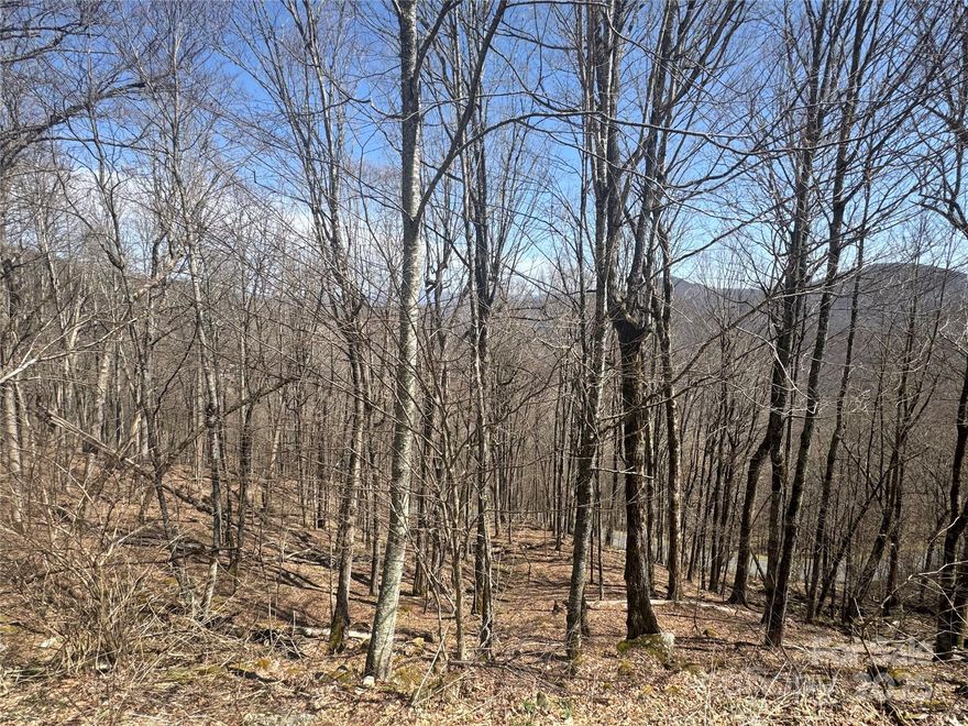 Two adjoining lots, bargain priced, for a total of 1.214 acres in the Overlook Village section of Wolf Laurel.  The lots offer possible extreme views to the East with allowed tree trimming, and perfect morning sun.  The neighborhood features all paved roads, for unusually good year round access at hi elevation, as well as streetlights and UG utilities.  There is a community water system in place, buyers will need individual septic.  Wolf Laurel boasts year round activities including, the new Hatley Pointe ski slopes, Wolf Laurel country club, and Village Club amenities.  Amenities are not included in HOA fees, and subject to separate, voluntary membership fees.  Non brokers must be accompanied for sec gate.