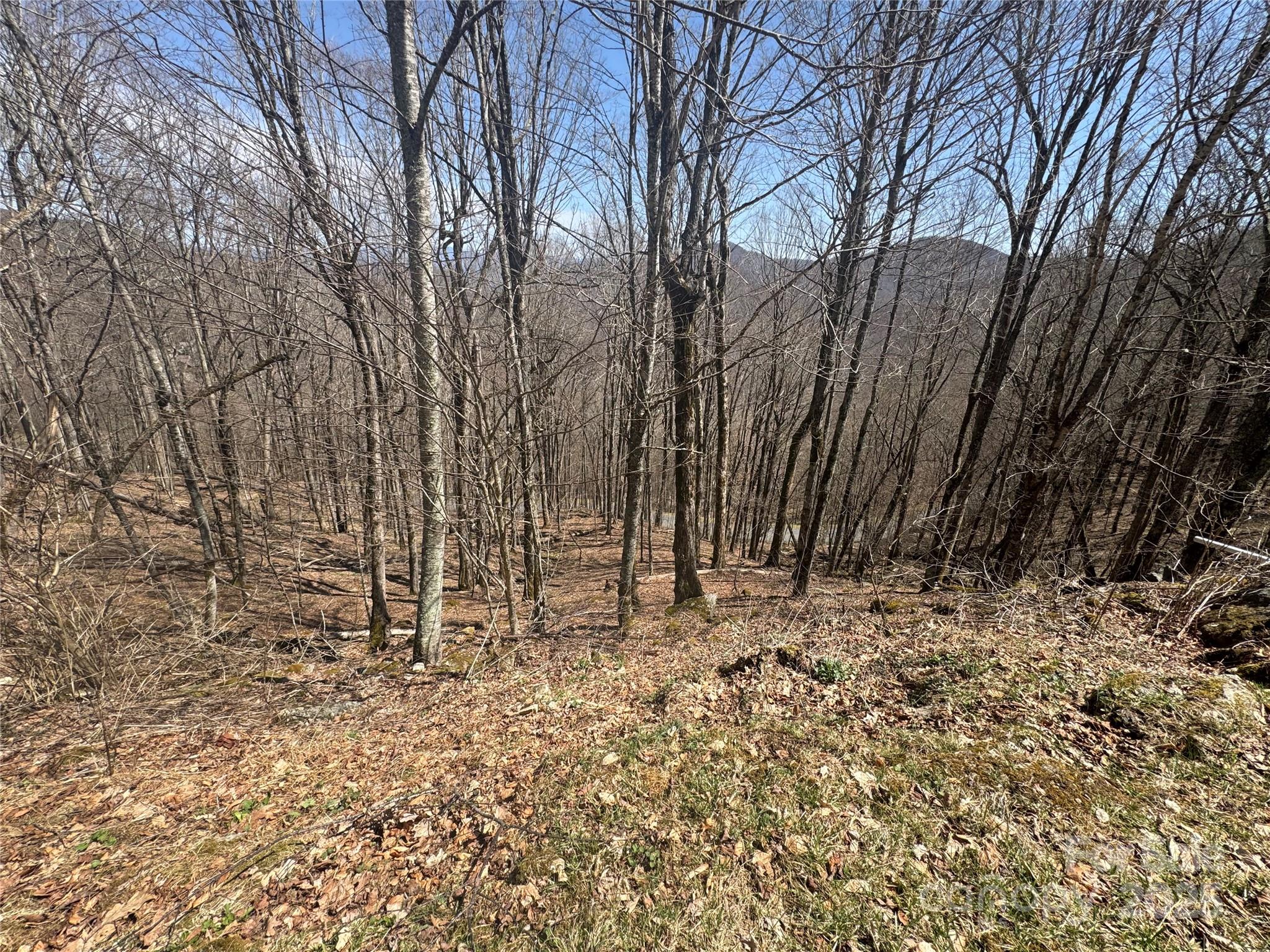 14 & 16 Overlook Drive