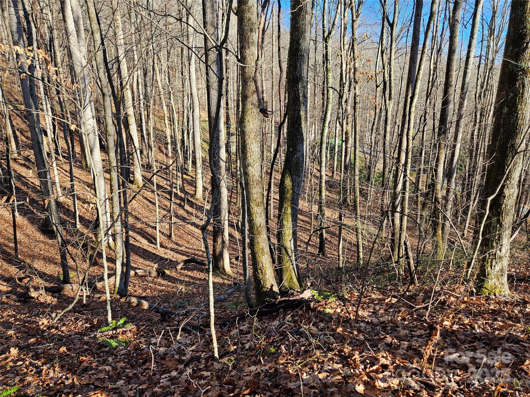 Brookside Estates - Land