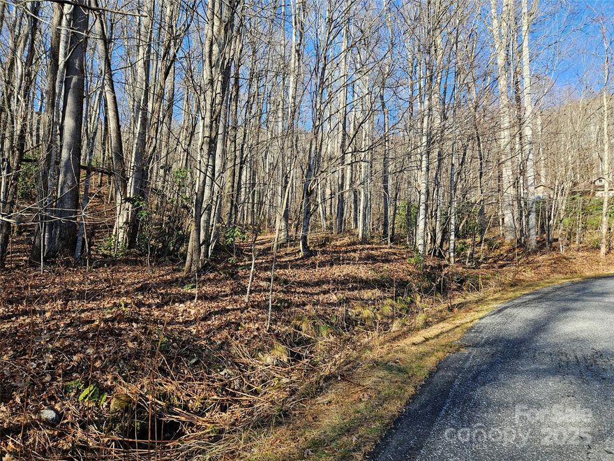 A beautiful wooded lot in the Brookside Estates subdivision in the Hemphill area of Haywood County NC. This very buildable lot has paved frontage, a creek bordering a section of the boundary and underground power. The elevation allows for a cooler climate in the warmer months and the likelihood of snow in the colder months. This community is clean and quiet which emits the essence of serenity. Close to the historic Cataloochee area of the Great Smoky Mountain National Park and the Swag. 10 minutes to Maggie Valley and 30ish minutes to Asheville. Call the list agent if you have any questions or interest.