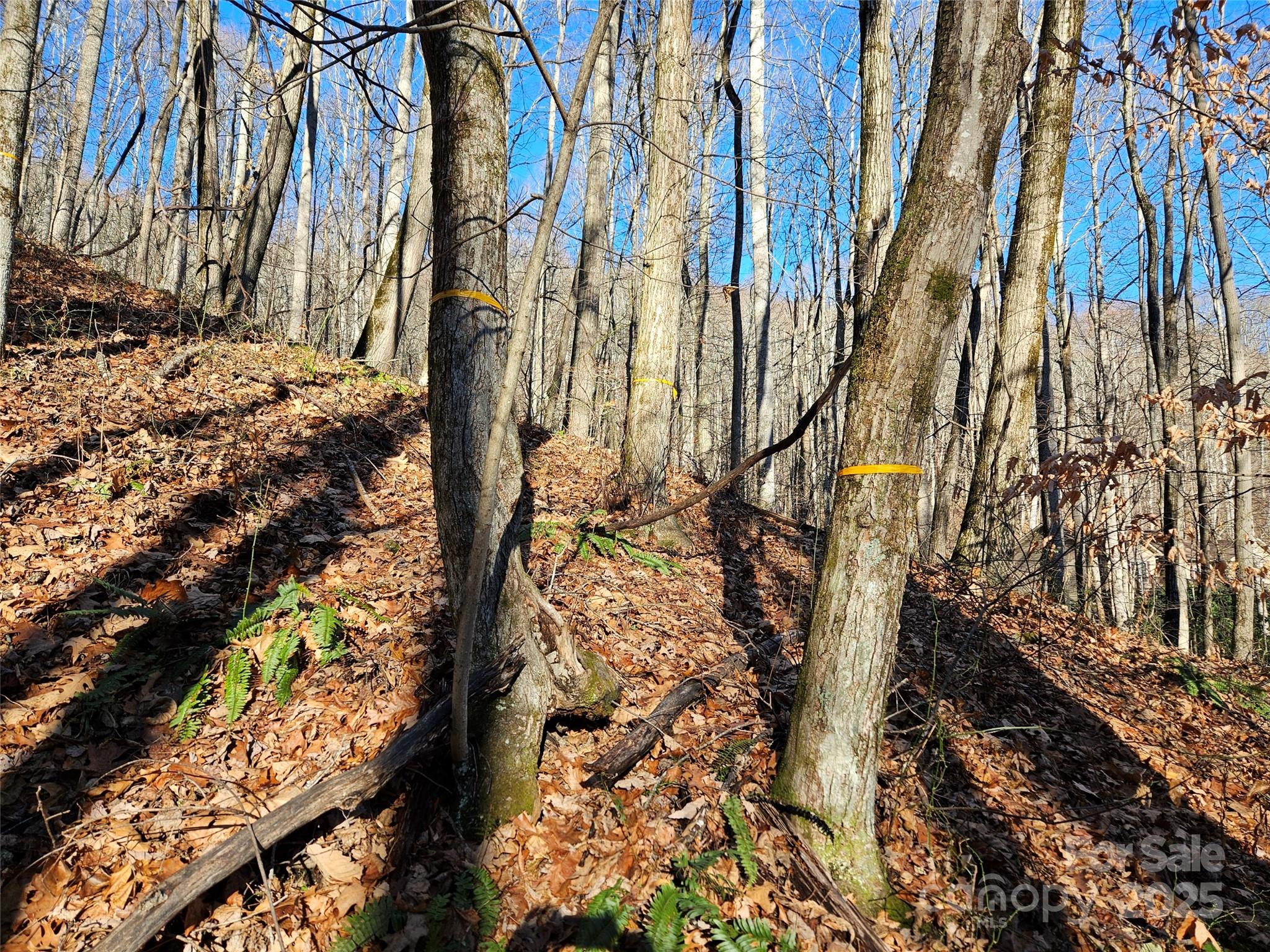 Brookside Estates - Land