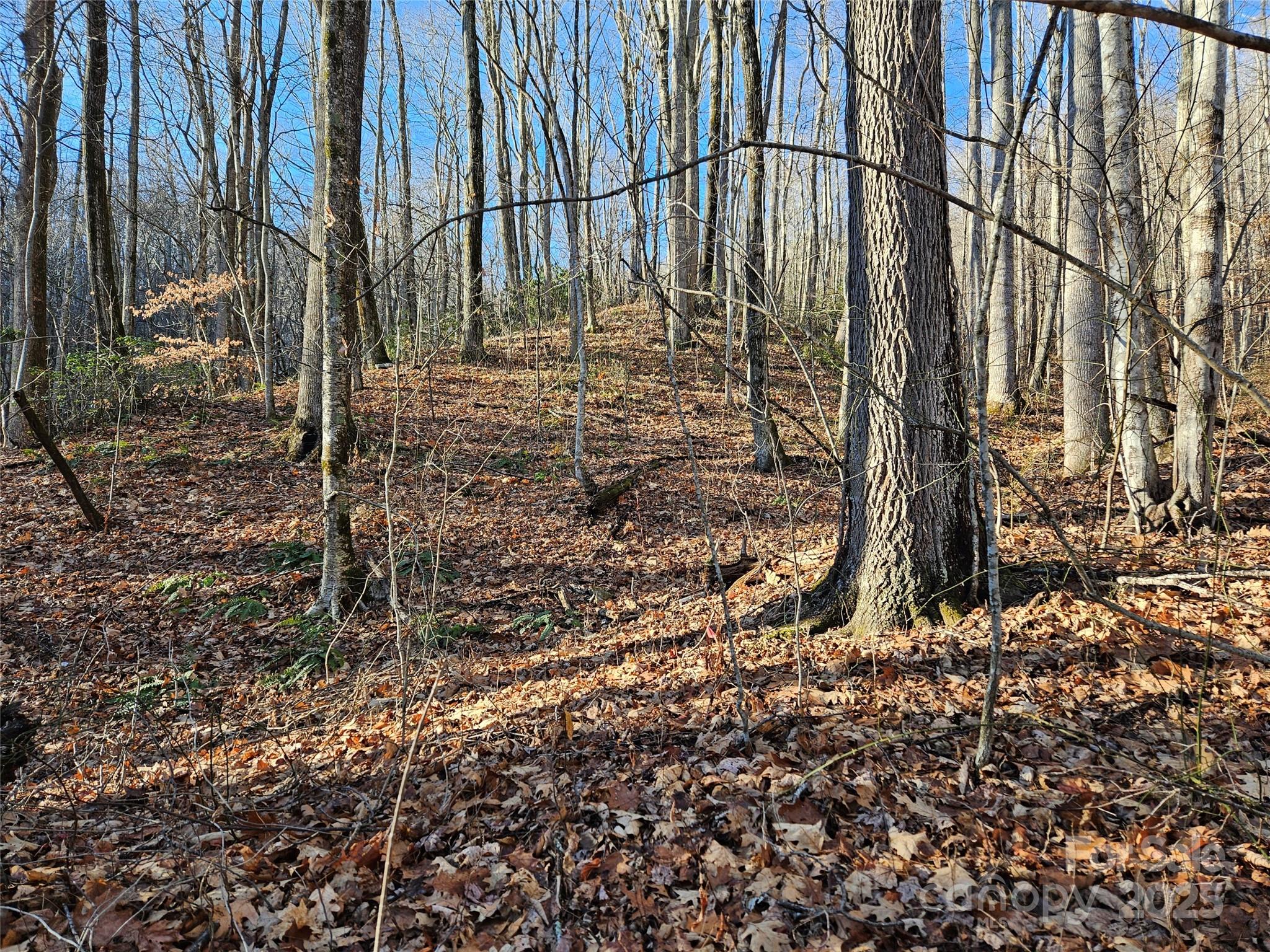 Brookside Estates - Land