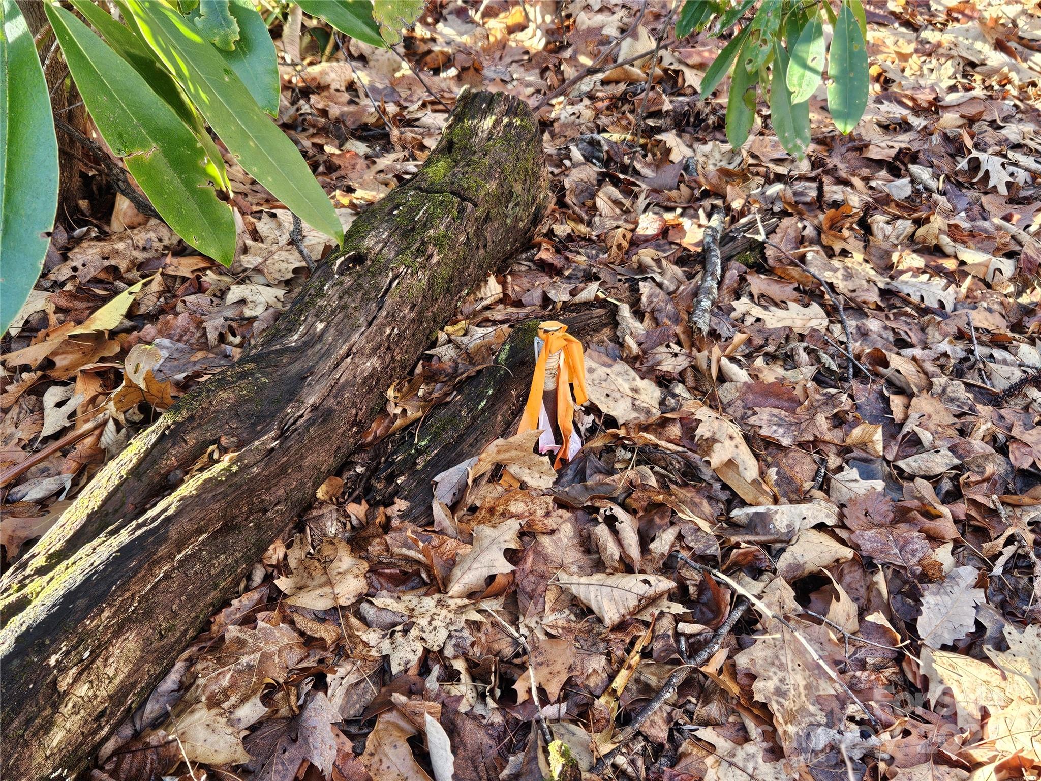 Brookside Estates - Land