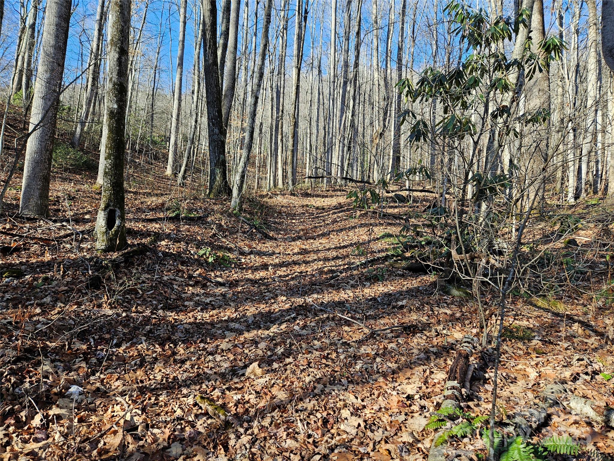 000 Serenity Drive 27