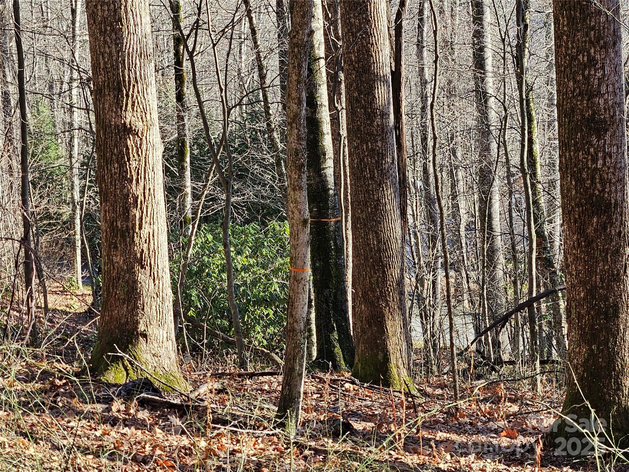 Brookside Estates - Land