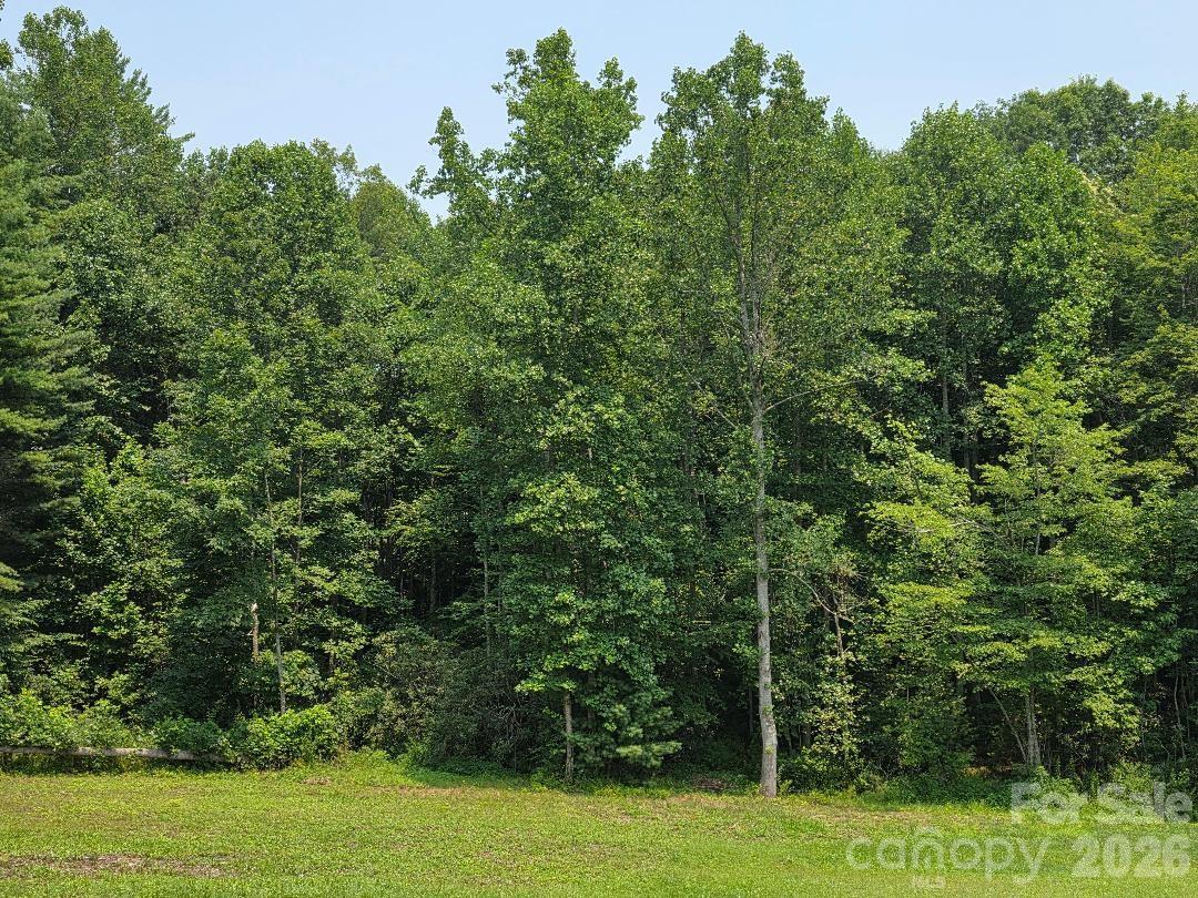 Lot 4 Appalachian Retreat Dr, Spruce Pine, NC, 28777