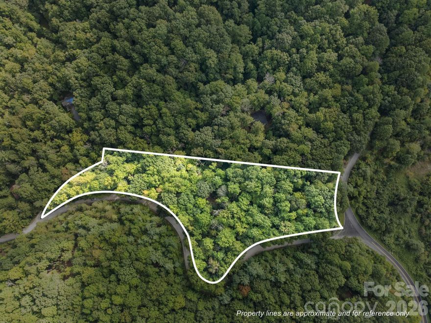 Over 4 acres of privacy with multiple building sites and possible long range views.  Conviently located, 10 minutes to I-26, 20 minutes to Hendersonville Or Columbus.  Easy access to a level building site from a shared driveway, or Clear private access and ope up the views.   Lightly restricted, 1200 sqft minimum offers lots off posibilities at a bargain price.