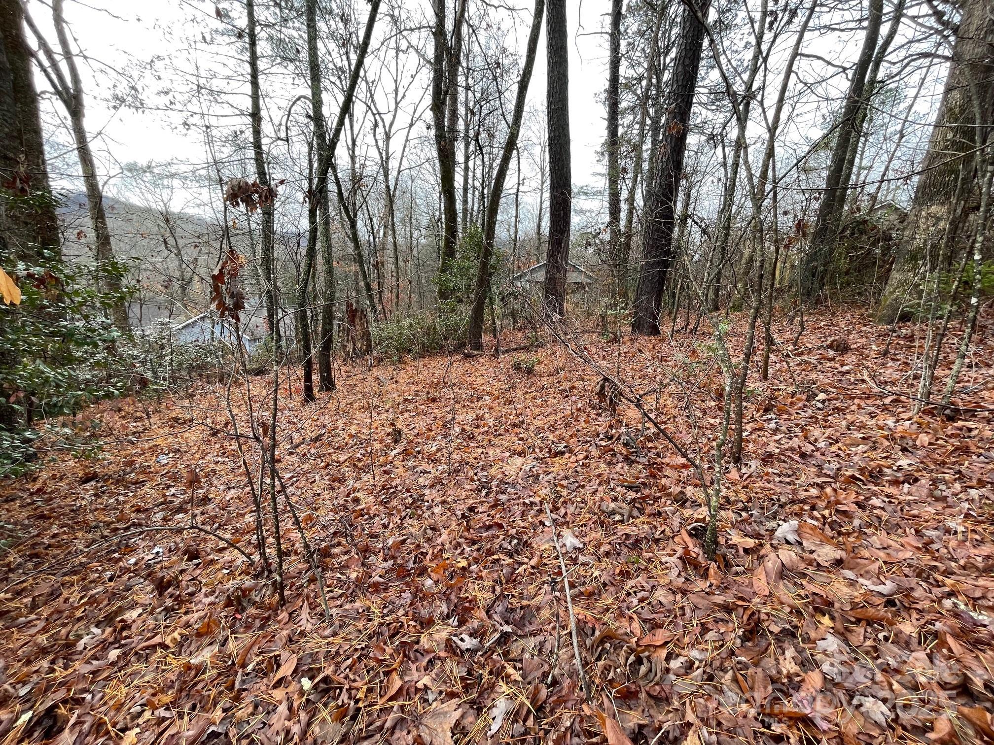 TBD Rattlesnake Mountain Road