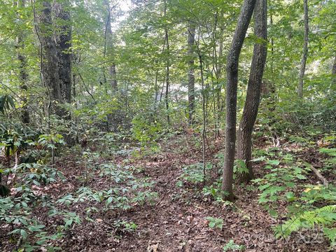 TBD Rattlesnake Mountain Road Black Mountain NC 28711