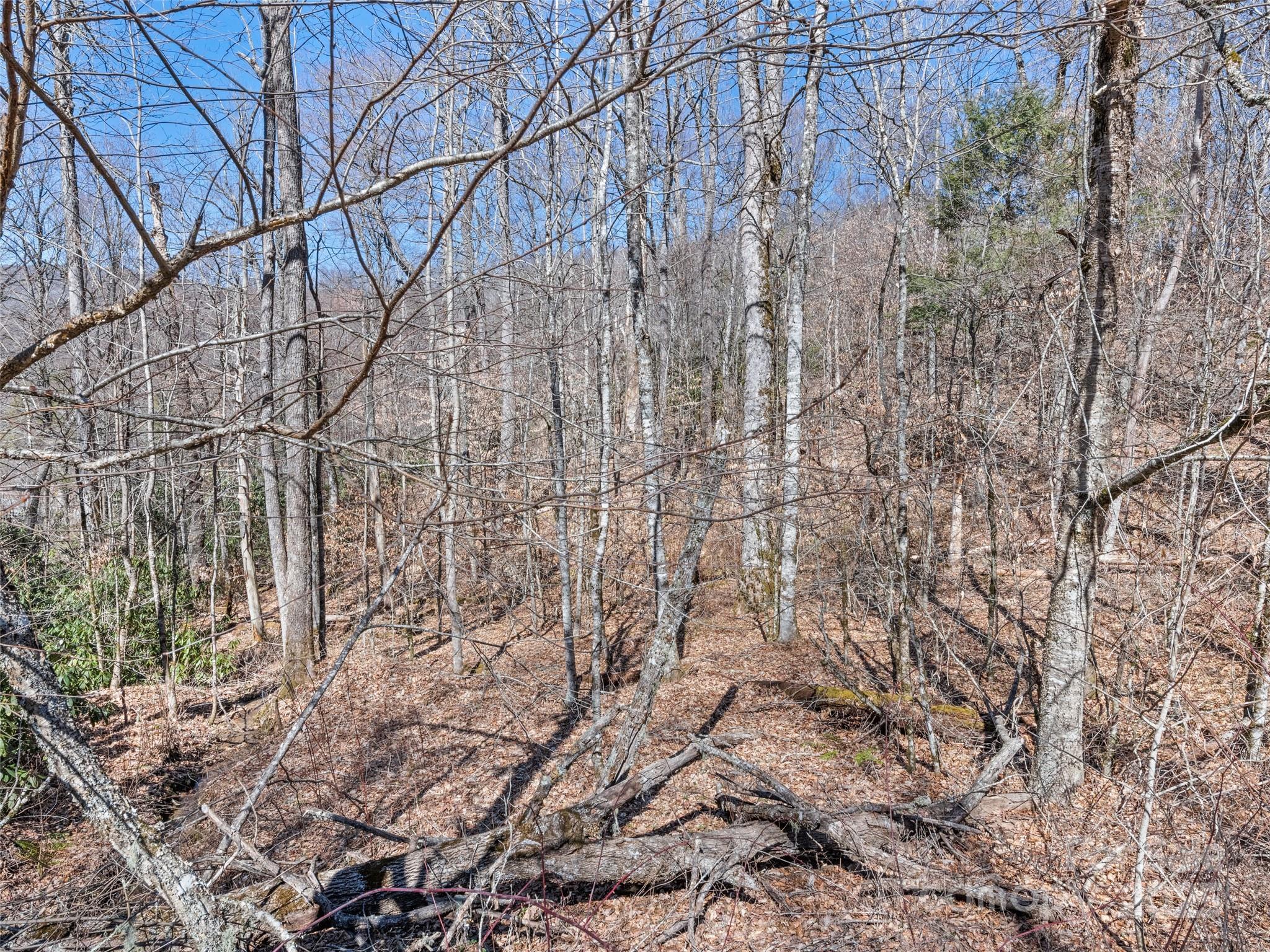 Cranberry Falls - Land