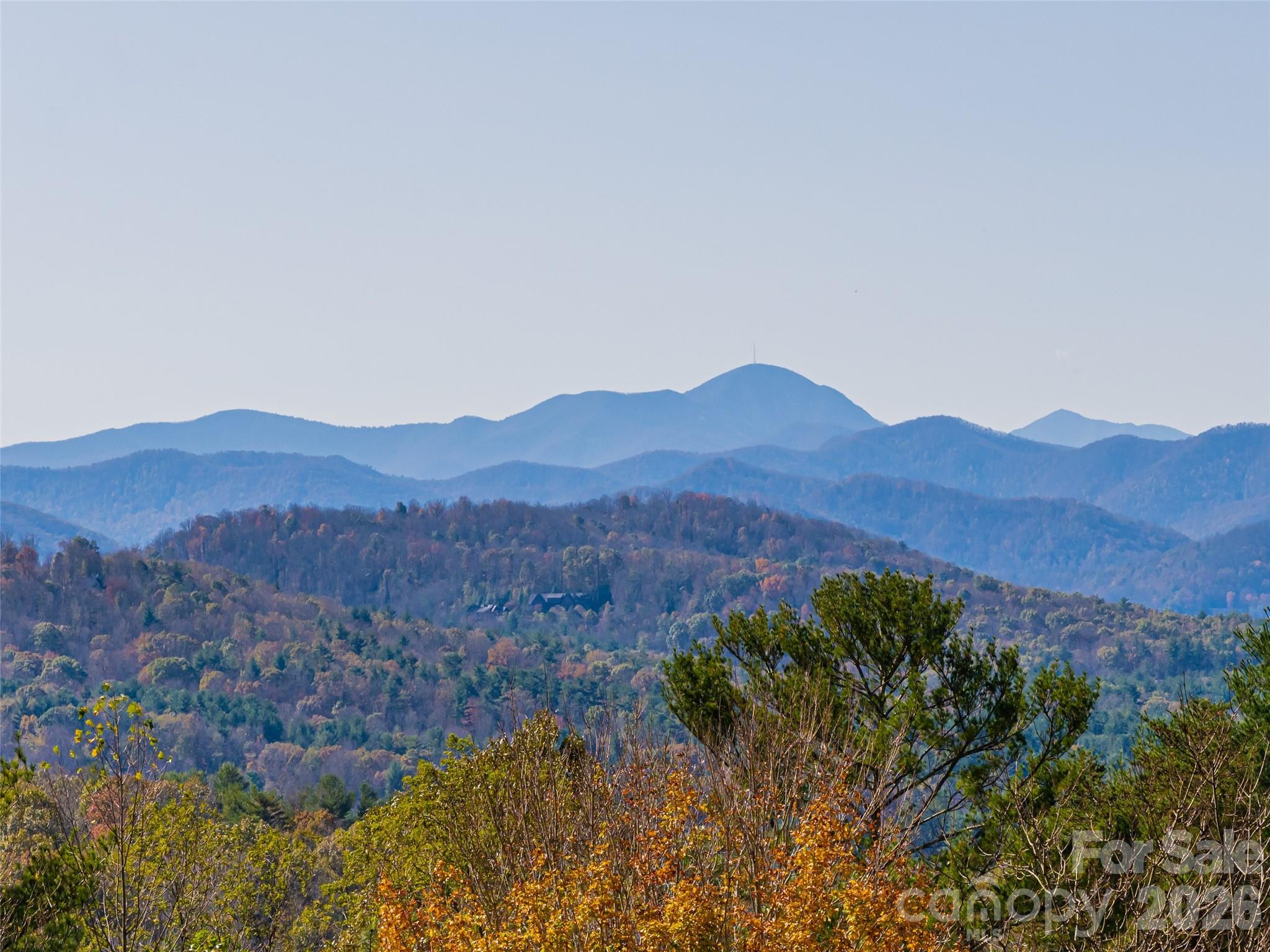 The Pinnacle At Park Avenue - Residential