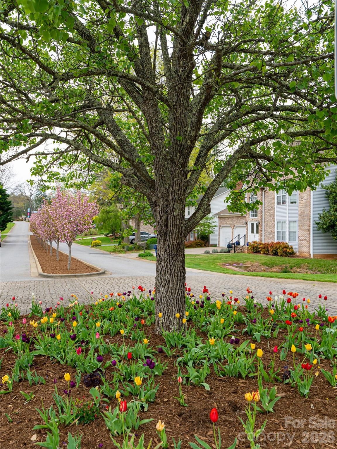 The Pinnacle At Park Avenue - Residential