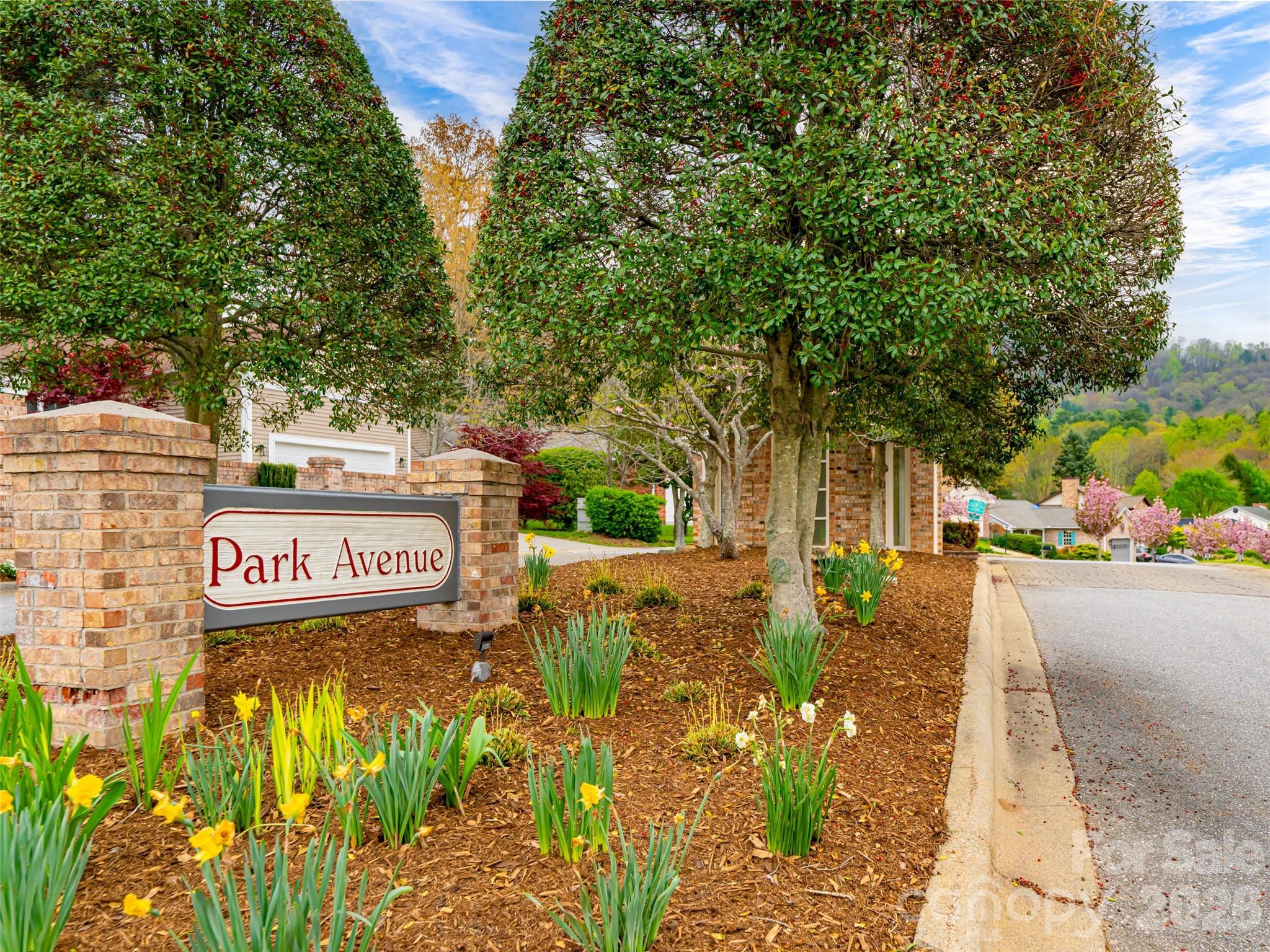 The Pinnacle At Park Avenue - Residential