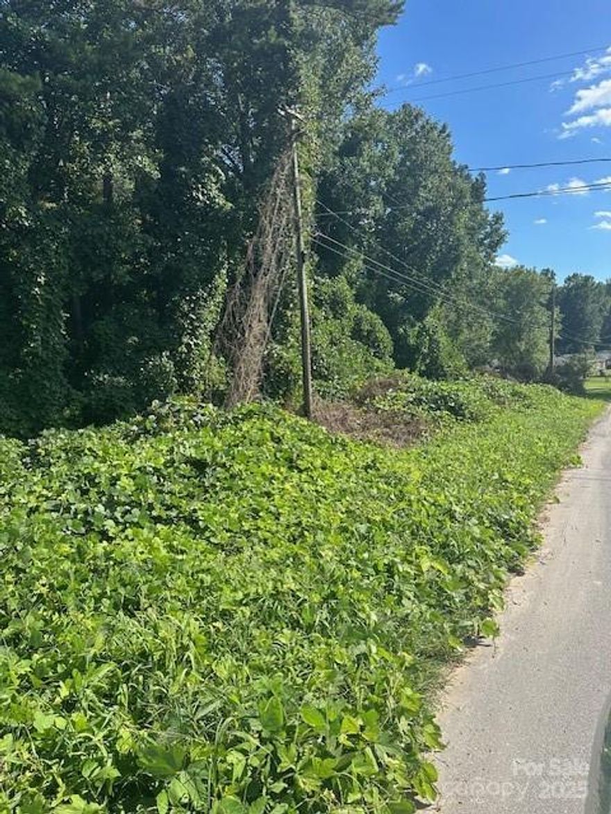 ATTENTION INVESTORS: Here's the opportunity to build (2) or possible more homes (after verifying w/zoning dept) on lots SIDE BY SIDE.  SELLERS PREFER TO SELL BOTH LOTS TO SAME BUYER.  These lots are located in the County but tapping on to CITY WATER is an option.  Septic system would need to be installed.  

Please call listing agent with any questions you may have!  The home AND these (2) lots are an INVESTOR'S DREAM!