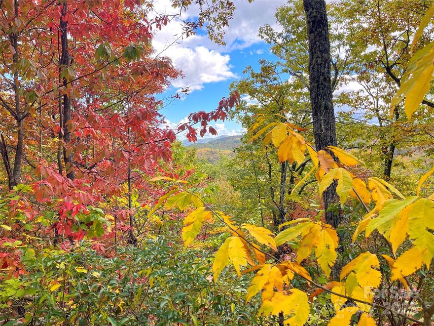 Perched at 3,200 ft+ elevation on a quiet forested ridge, this 2.70-acre parcel offers panoramic, long-range views of distant mountain peaks. The lot is surrounded by mature hardwoods on all sides, providing privacy and natural buffer. Access is via a year-round privately maintained gravel road. With no covenants, conditions or restrictions, no HOA, and open use zoning, your options are wide open. Keep it as a tranquil retreat or start your dream home build right away. Once your plans are approved by the county of course! This property is very low maintenance — no lawns to mow, no fences to paint — just the quiet forest, the melody of birds, and your view. In fall months, the surrounding oak, maple, sourwood, poplar, birch, sassafras, pine, rhododendron, pine & mountain laurel transform the horizon into a tapestry of reds, golds, and russets. Neighbors are rare and tucked away; you’ll likely see no one from the ridge top. Whether you envision your dream cabin, retreat, or long-term investment, this lot offers the peace, seclusion, and scenic beauty many only imagine. BACK ON THE MARKET. Seller is actively working with a NC Licensed Soil Scientist to determine the feasibility of the site in regards to the proper wastewater system. More information will be available soon and will be added to the listing once we have the proposed plan in hand.