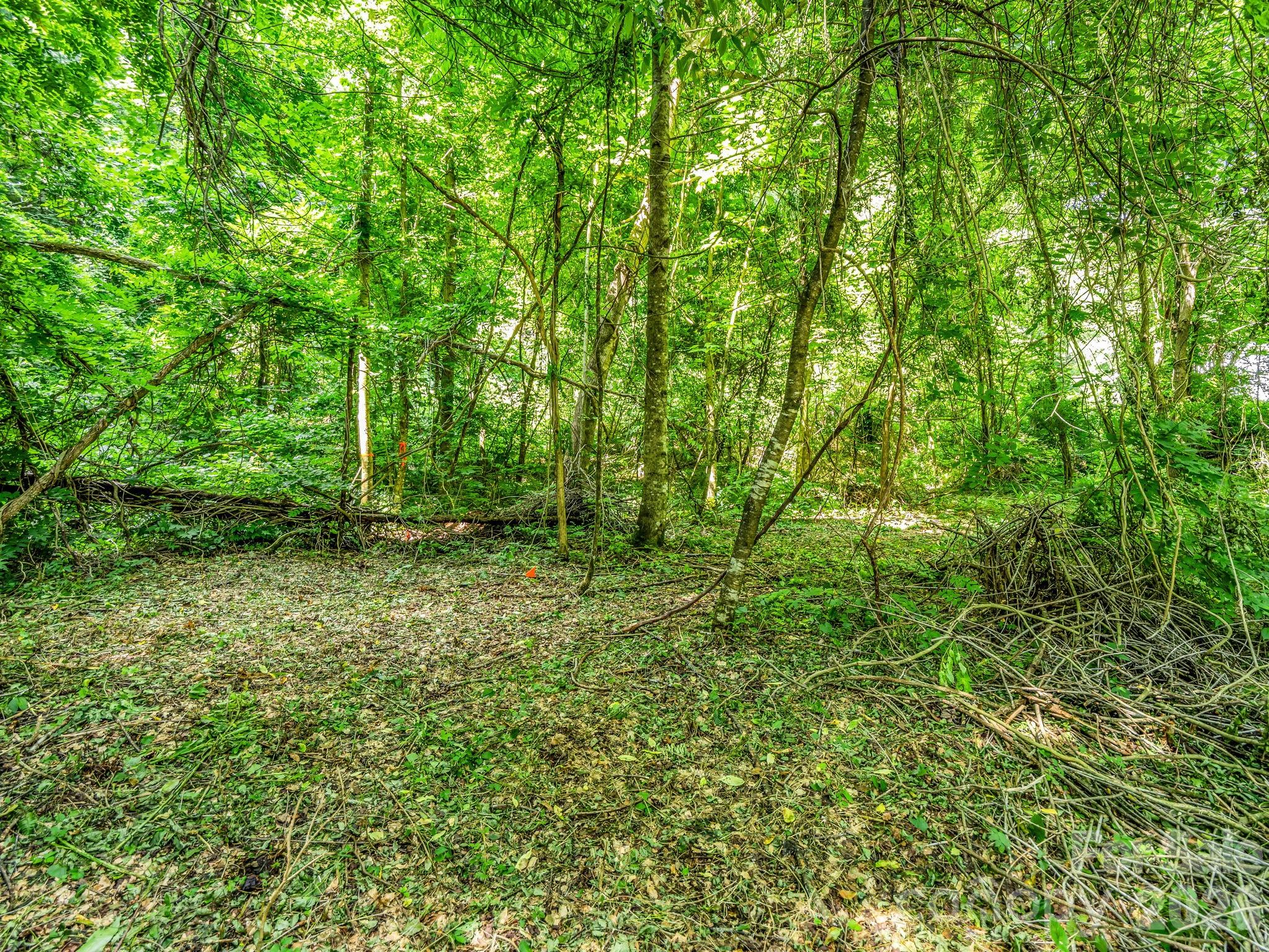 51 Orchard Park Drive
