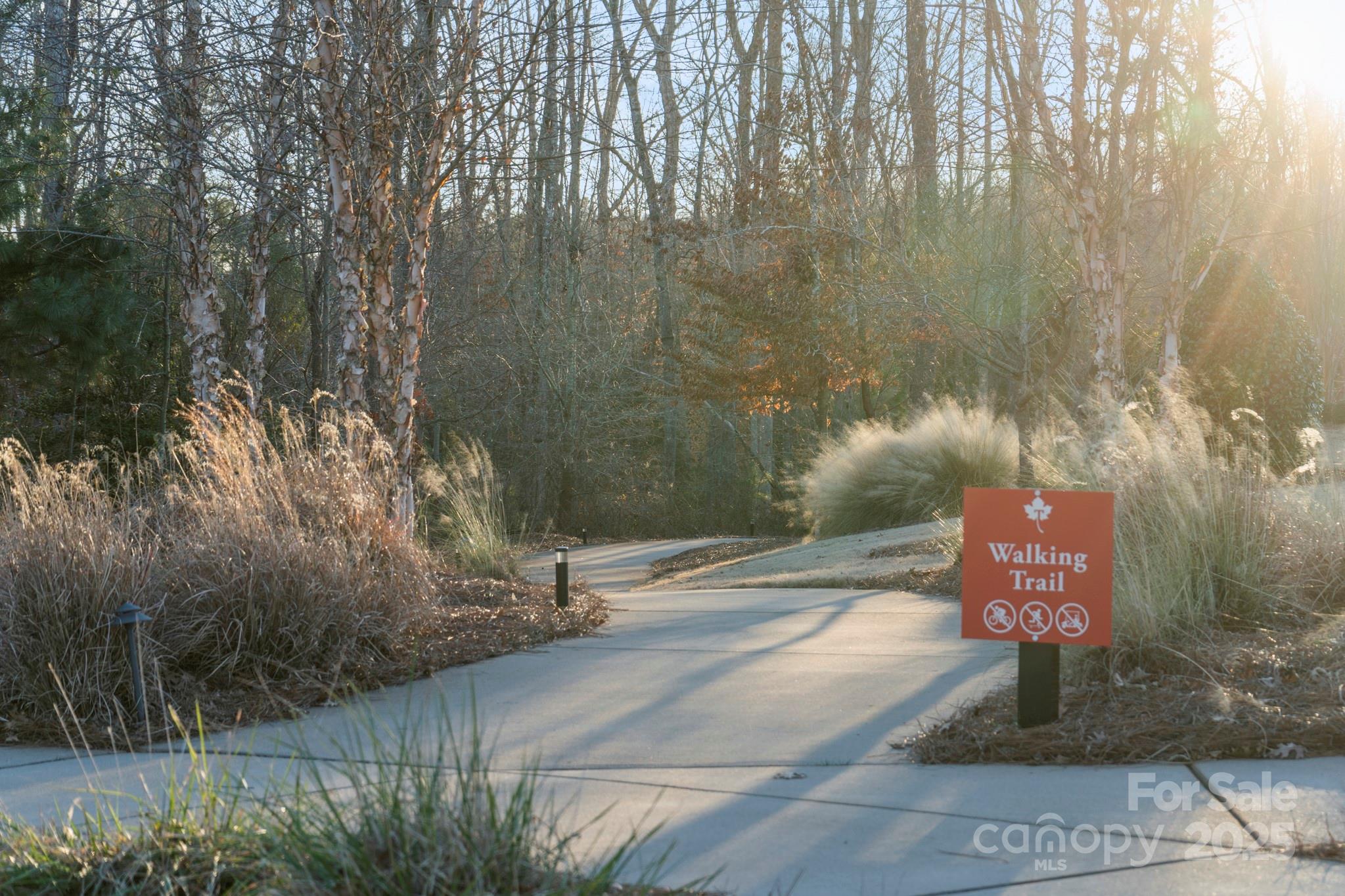 Tree Tops - Residential
