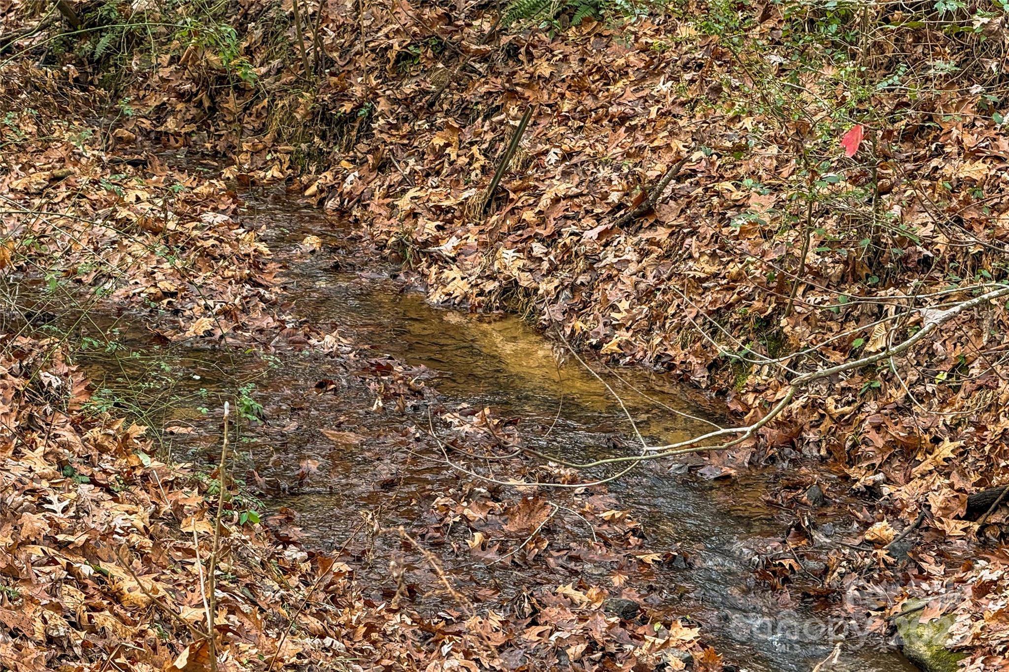 338 Piney Grove Road