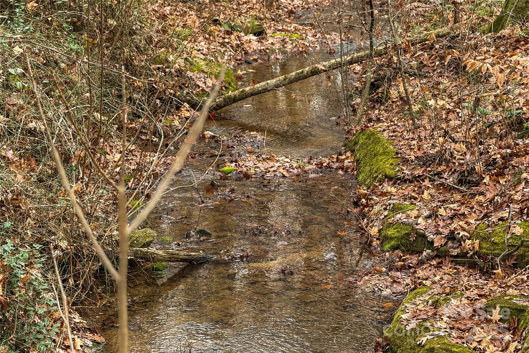 338 Piney Grove Road