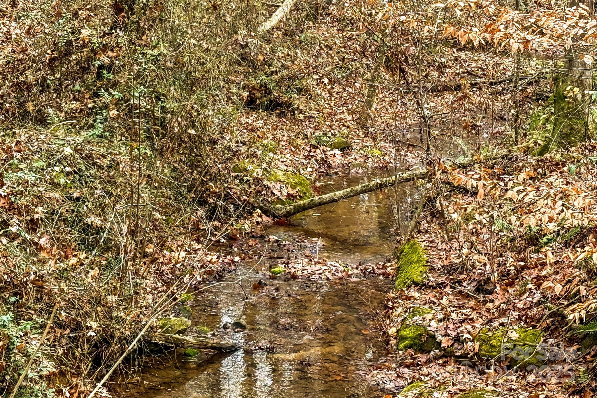 338 Piney Grove Road