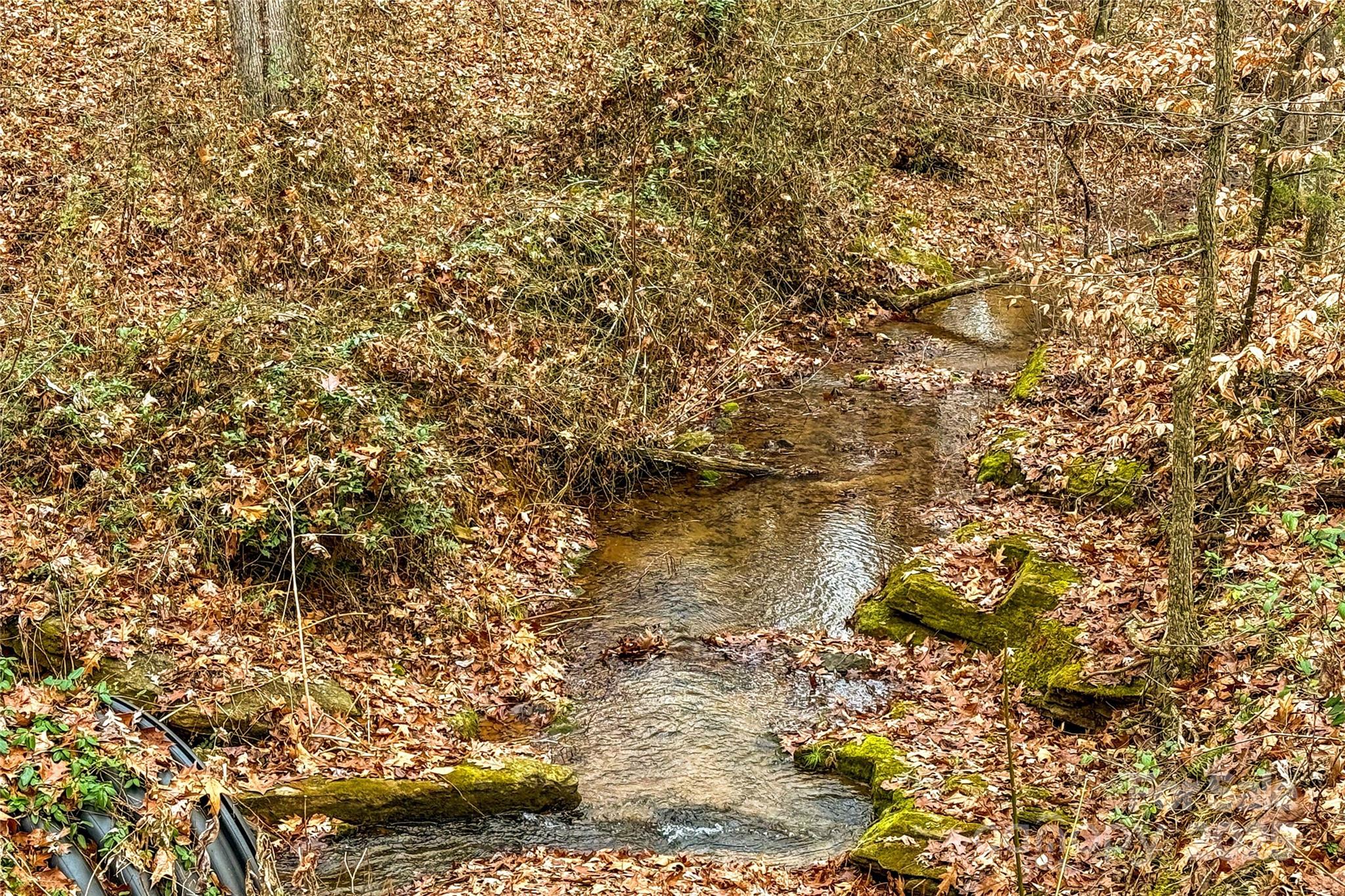 338 Piney Grove Road