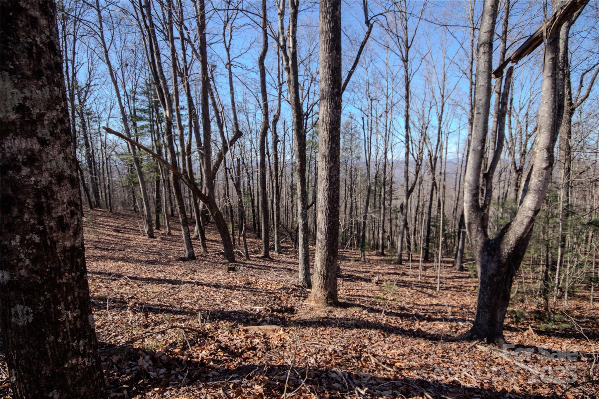 2212 Nighthawk Ridge Court 29