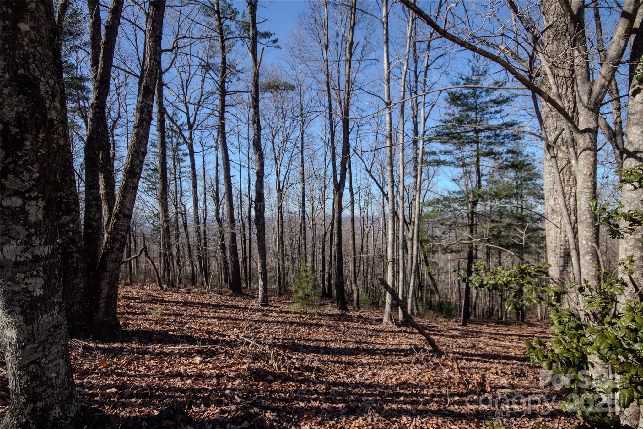 2212 Nighthawk Ridge Court 29