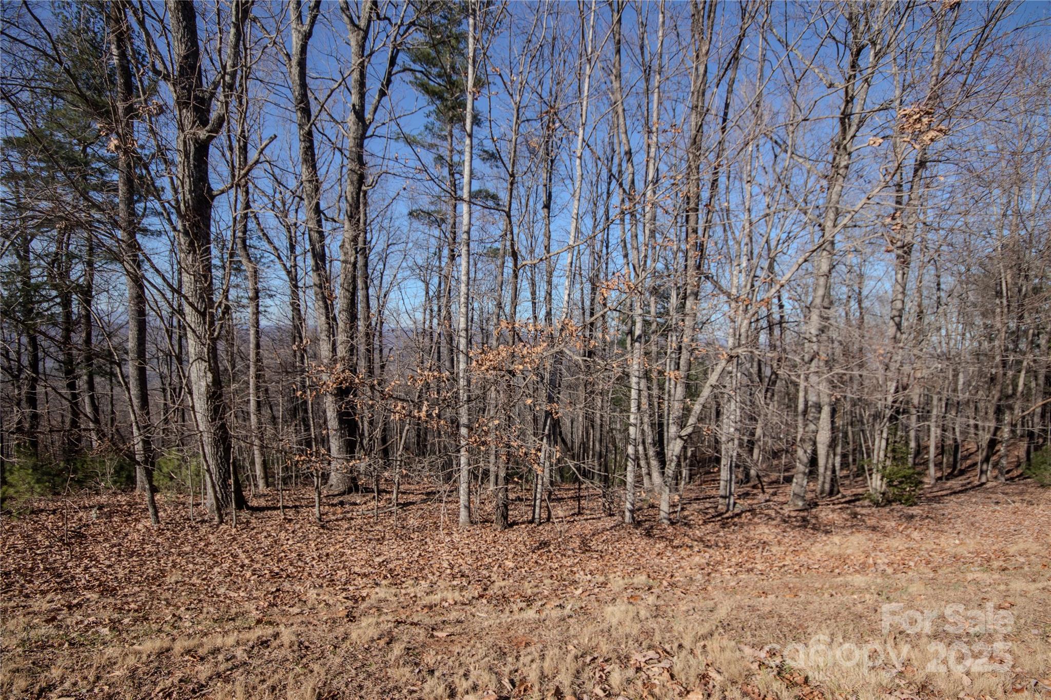 Eagle Heights - Land