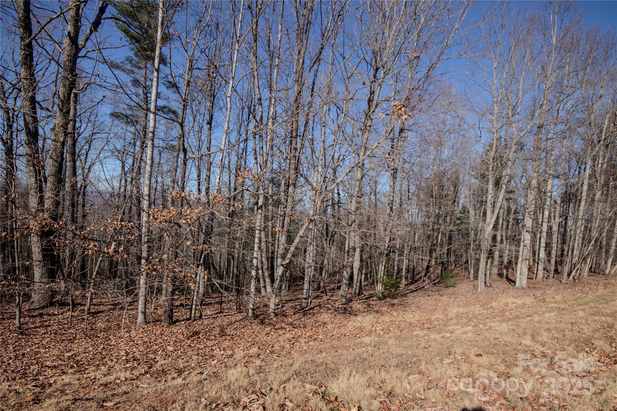 Eagle Heights - Land