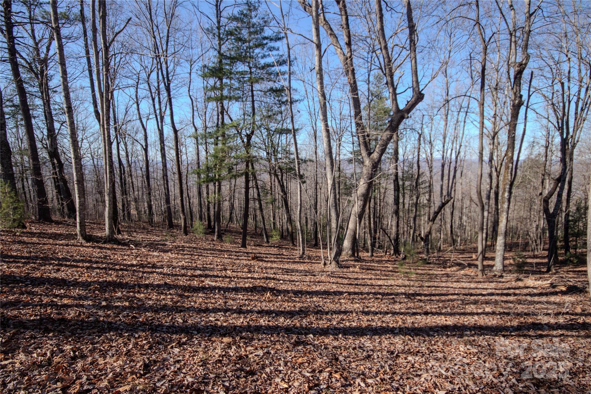 Eagle Heights - Land