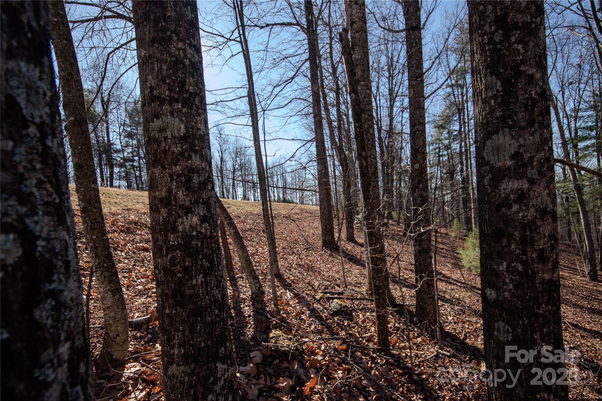 2212 Nighthawk Ridge Court 29