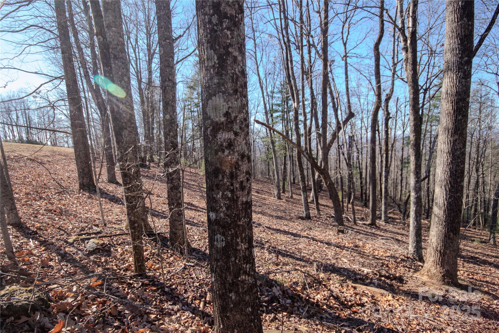 Eagle Heights - Land