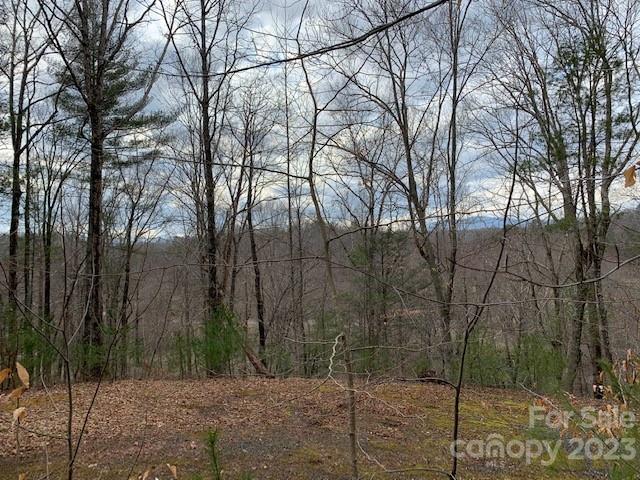 Lot 6 Theresa Terrace Meadows 6