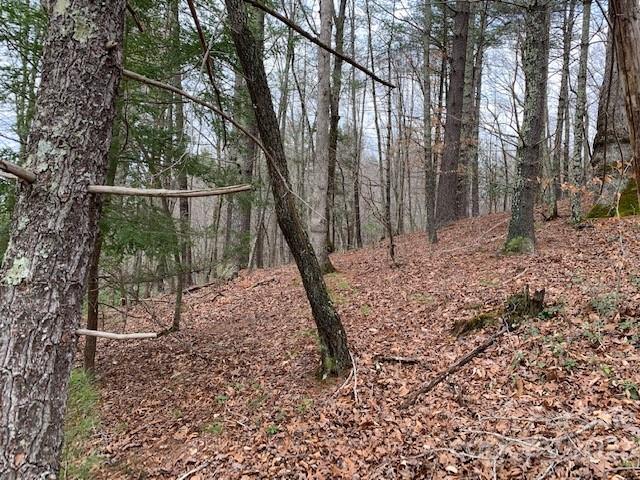 The Meadows at Lake James Station - Land
