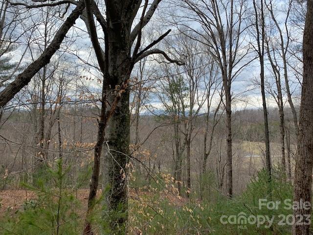 Lot 6 Theresa Terrace Meadows 6