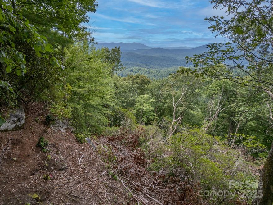 Wake up to breathtaking year-round mountain views from this 2.48-acre lot located in an area of upscale homes. . Ideally situated between Champion Hills and Pathways of Solomon Jones, and just 10 minutes from downtown Hendersonville and Historic Flat Rock, shopping, and dining.
