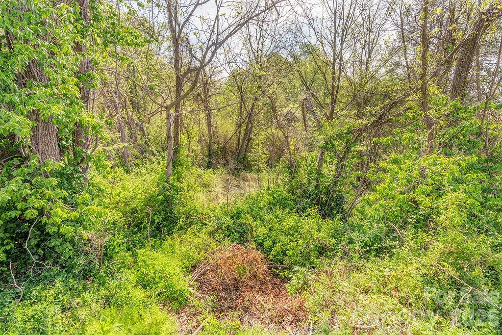 Deavermont Park - Land