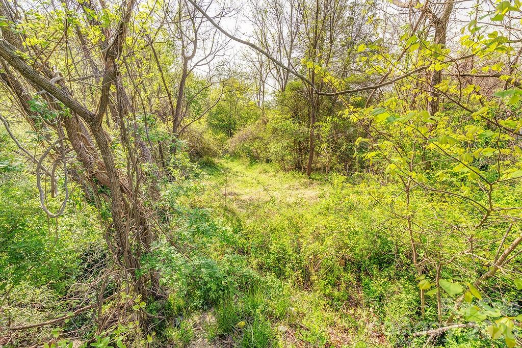 Deavermont Park - Land