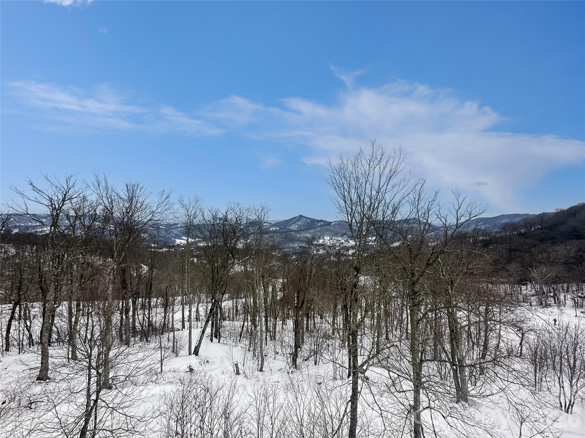 Sugar Ski & Country Club - Residential