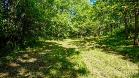 Photo of 00 Ode Kerley Lane, Taylorsville, NC 28681 (MLS # 4408695)